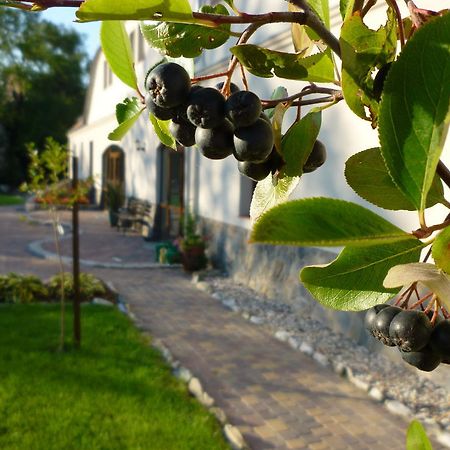 Aronia Park Villa Lubiechowa Dış mekan fotoğraf