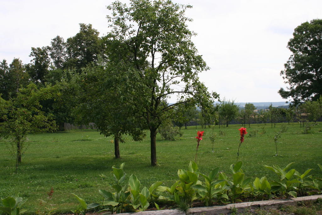 Aronia Park Villa Lubiechowa Dış mekan fotoğraf